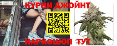 сатива Лесосибирск