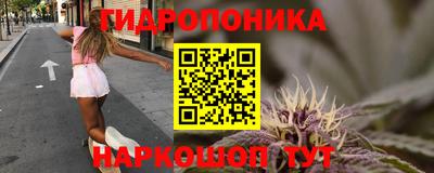 индика Ливны