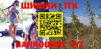 индика Ливны