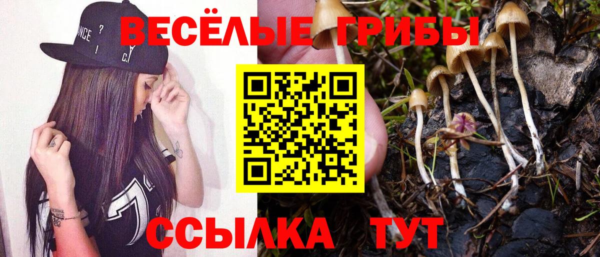 Галлюциногенные грибы MAGIC MUSHROOMS Йошкар-Ола